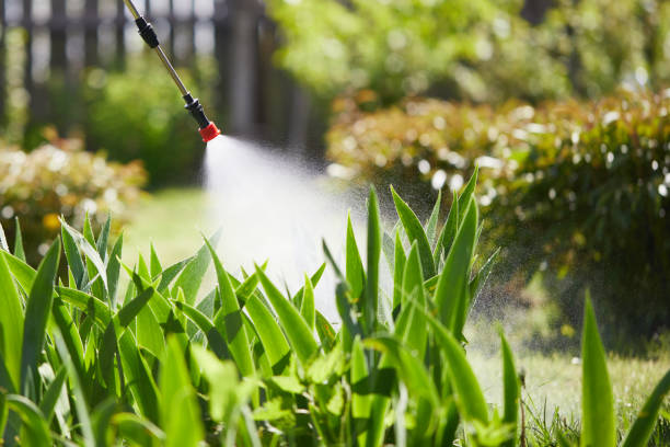 24/7 Emergency Mosquito Control experts in Yucaipa, CA