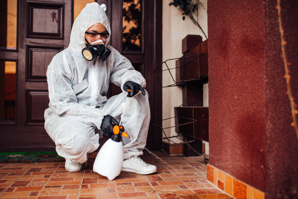 Reliable Mosquito Control contractor in Yucaipa, CA by Show Me Pest Control